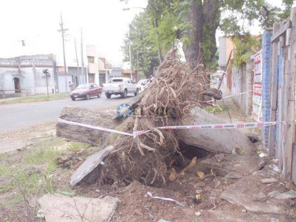 Consecuencias del temporal
