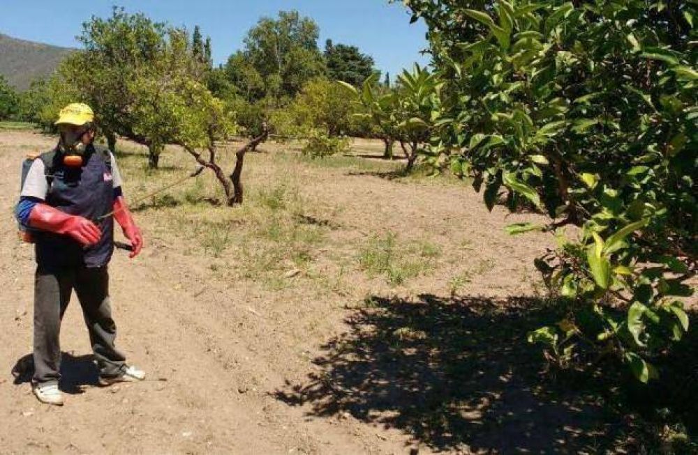 El Ministerio pulveriz� los frutales de m�s de 21 mil domicilios en el 2016