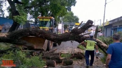 El Municipio de Quilmes se mostr� activo luego del temporal