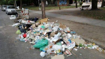 La imagen de un nuevo microbasural indigna a los vecinos