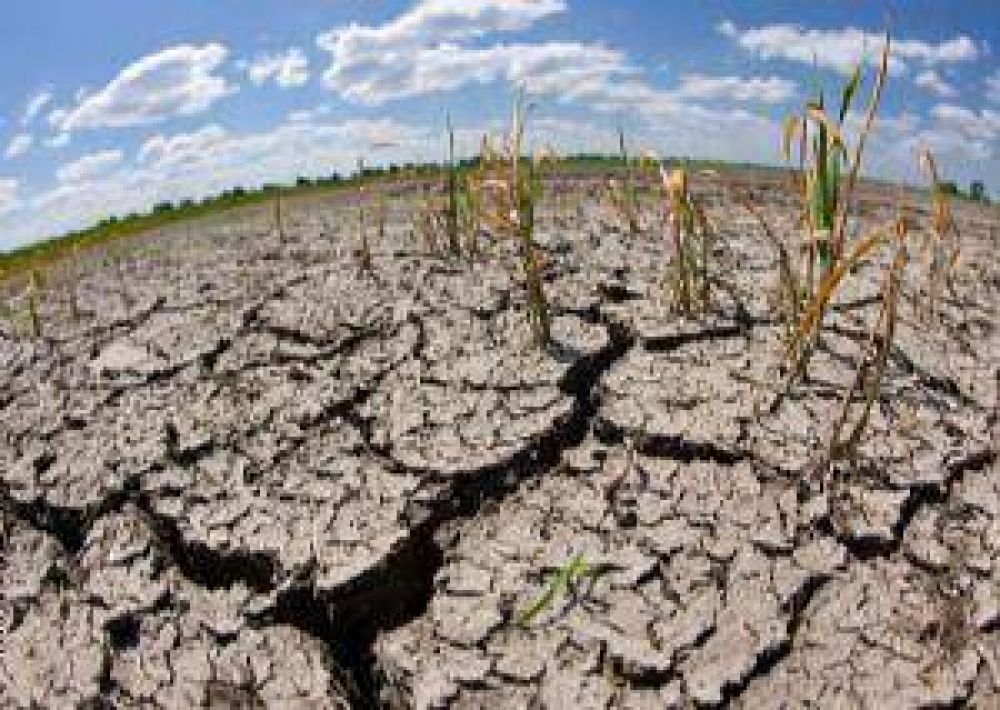 Cambio clim�tico: se multiplican las se�ales de alerta en el pa�s y la Regi�n