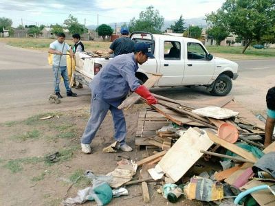 El gobierno intensifica tareas de limpieza y prevenci�n para controlar la poblaci�n de mosquitos
