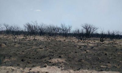Incendios: el Banco Naci�n otorga cr�ditos