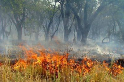 El fuego y la competencia de los dos gobiernos