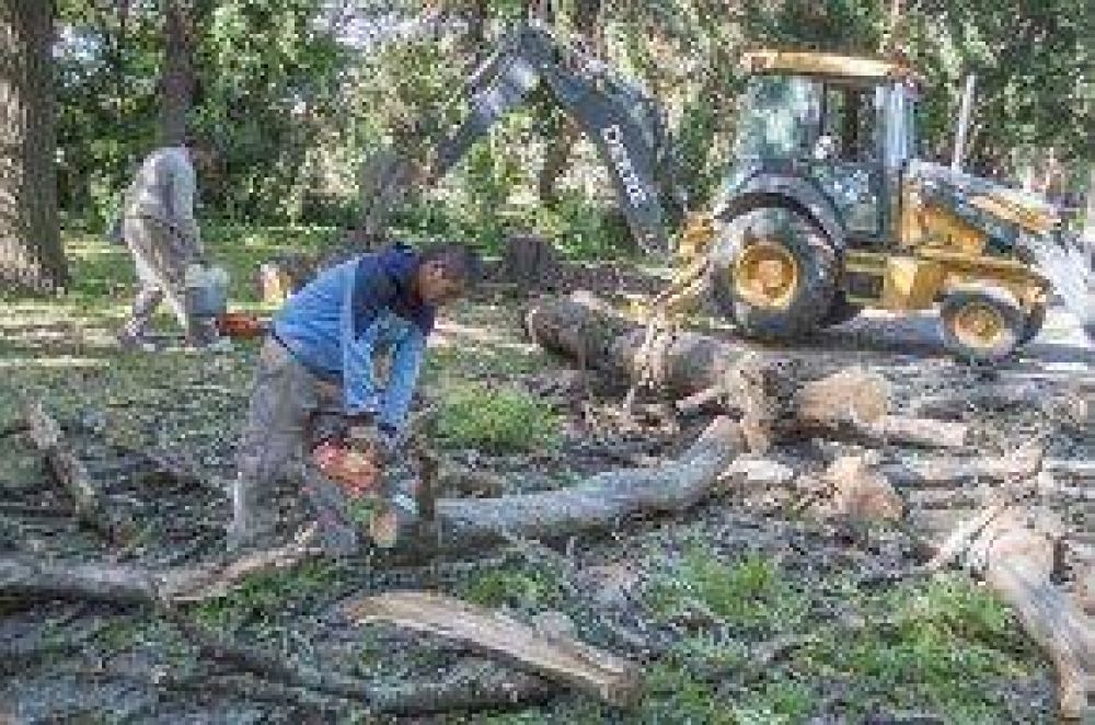 Trabajos en el Parque Municipal con vista a la celebraci�n de su centenario