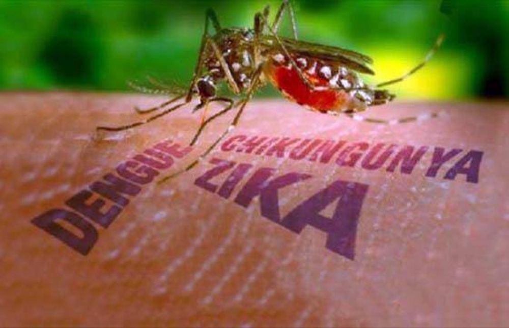 Solicitan a la poblacin reforzar las medidas de prevencin frente al zika, dengue y chikungunya