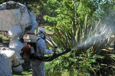 En La Plata aseguran que �no hay ning�n caso confirmado� de Dengue