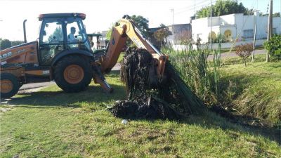 Trabajos de limpieza en Pueblo Nuevo