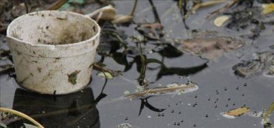 Hay un caso de dengue en la Regi�n y varios en estudio