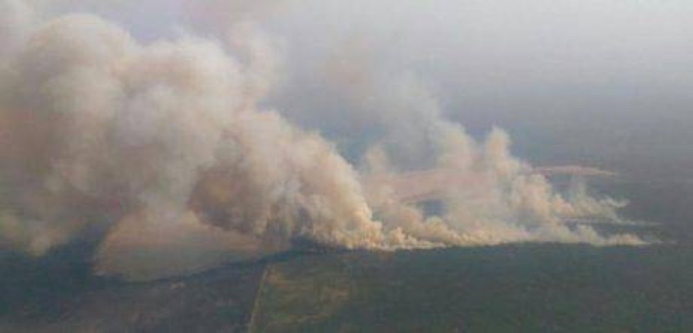 Incendios en La Pampa: el gobierno dio a conocer los focos activos hasta este martes
