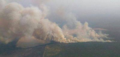 Incendios en La Pampa: el gobierno dio a conocer los focos activos hasta este martes