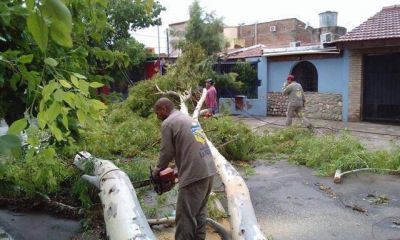 �La zona Sur y Este est�n devastadas por el temporal�