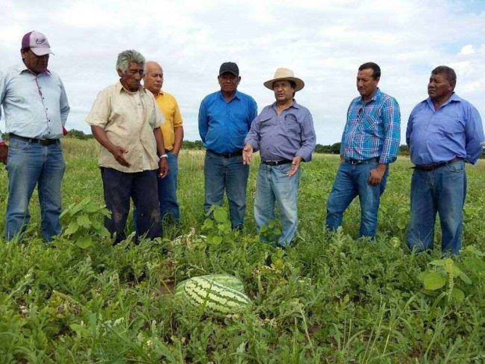 Eval�an creciente proceso productivo agr�cola en Bartolom� de las Casas