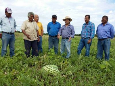 Eval�an creciente proceso productivo agr�cola en Bartolom� de las Casas