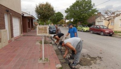 Afirman que los datos sobre desempleo local �no dicen mucho�