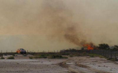 Diputado pide informe a Tierno por la ola de incendios