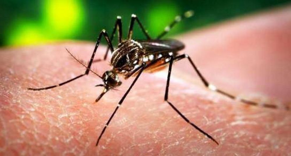 Concientizan sobre Dengue, Zika y Chicungua