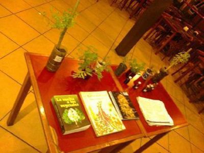 Aceite medicinal: �el autocultivo de cannabis necesita de la protecci�n de la ley en debate�