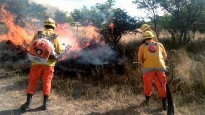 El incendio destruy� unas 963.016 hect�reas de campo