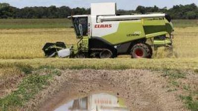 Las exportaciones de las econom�as regionales crecieron 22% en el per�odo enero-noviembre de 2016