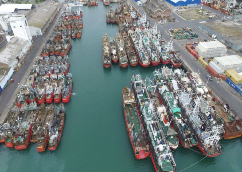 Sector pesquero denuncia millonarias prdidas por la congestin del puerto