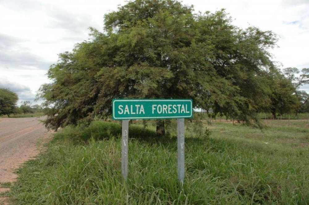 La Provincia recuper ms de 80.000 hectreas de Salta Forestal