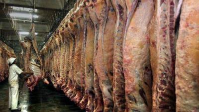 Podr�a subir el precio de la carne