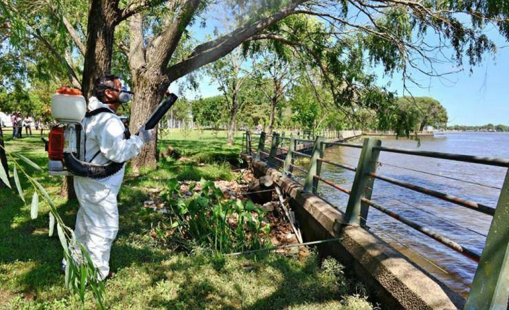 San Fernando trabaja contra mosquitos y mariposas negras y pide precauciones
