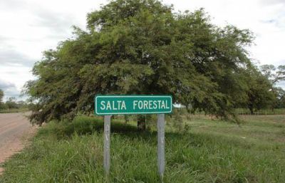 A desalambrar, a desalambrar