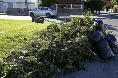 Los basurales crecen y ponen en jaque a numerosos barrios de la Ciudad