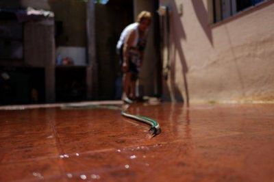 El derroche de agua le cuesta a Mendoza U$S20 millones por temporada estival