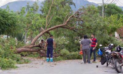 Temporal. El municipio Capital agradeci� el apoyo de Naci�n