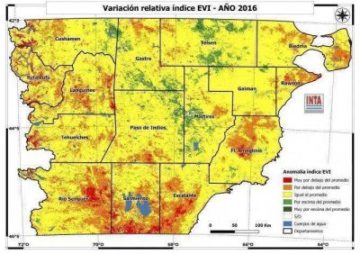 En la costa y la cordillera disminuy� la producci�n de pastos naturales