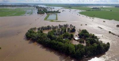 Pronostican p�rdidas para el campo de hasta US$ 1750 millones