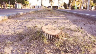 Concejales del FpV pujar�n para que la multa la paguen los responsables