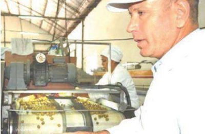 Destacan el progreso del cluster oliv�cola en La Rioja
