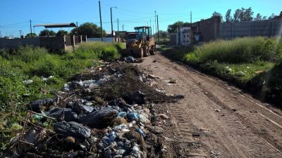 Trabajan para mantener la limpieza
