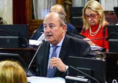 Marino pide ventajas impositivas de las mineras a productores afectados por el fuego