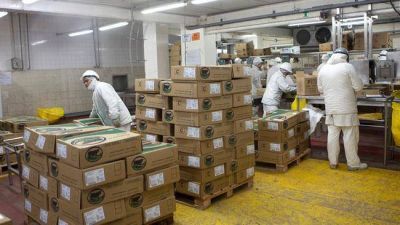 Exportaci�n de carne a Filipinas: �La Pampa vuelve a salir al mundo�