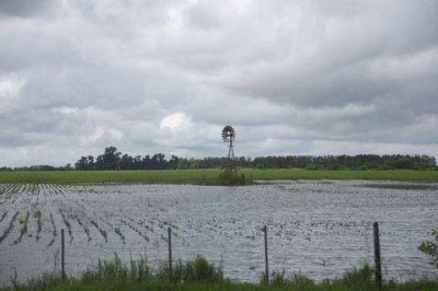 Inundaciones: el modelo agr�cola qued� en el ojo de la tormenta