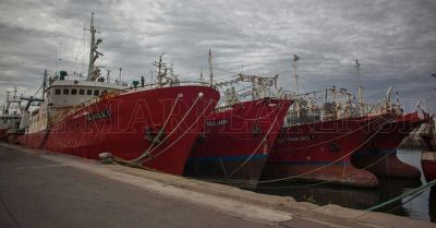 Tras la intervenci�n, el SOMU busca revertir �la realidad del puerto�