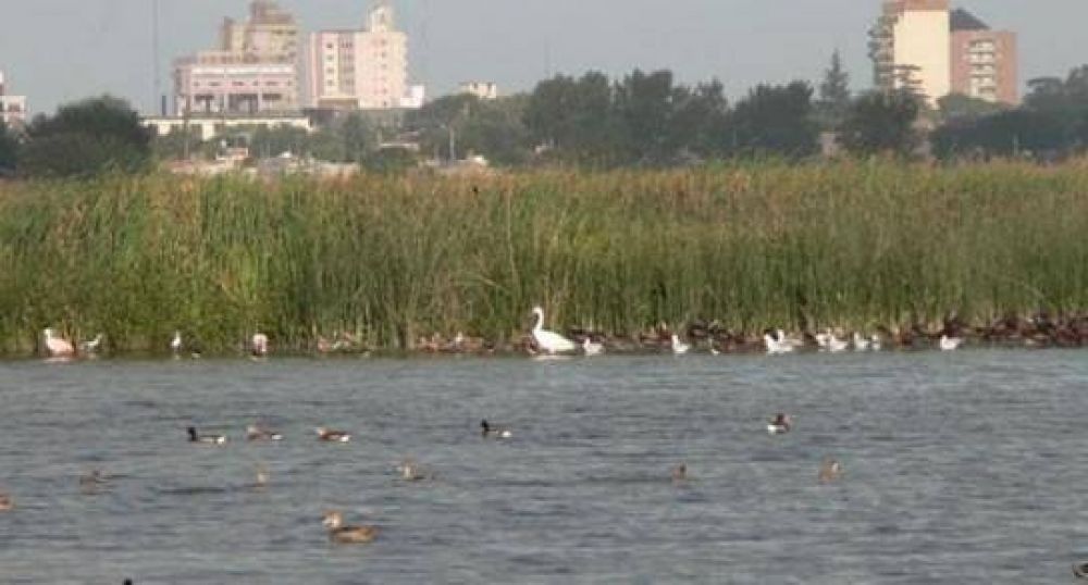Preocupaci�n por la situaci�n de la laguna del basural