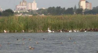 Preocupaci�n por la situaci�n de la laguna del basural