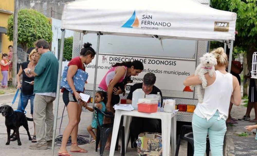 San Fernando ya castr� al 50% de sus perros y gatos