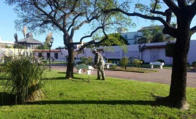 Espacios verdes: contin�an los trabajos de limpieza y podas en Escobar