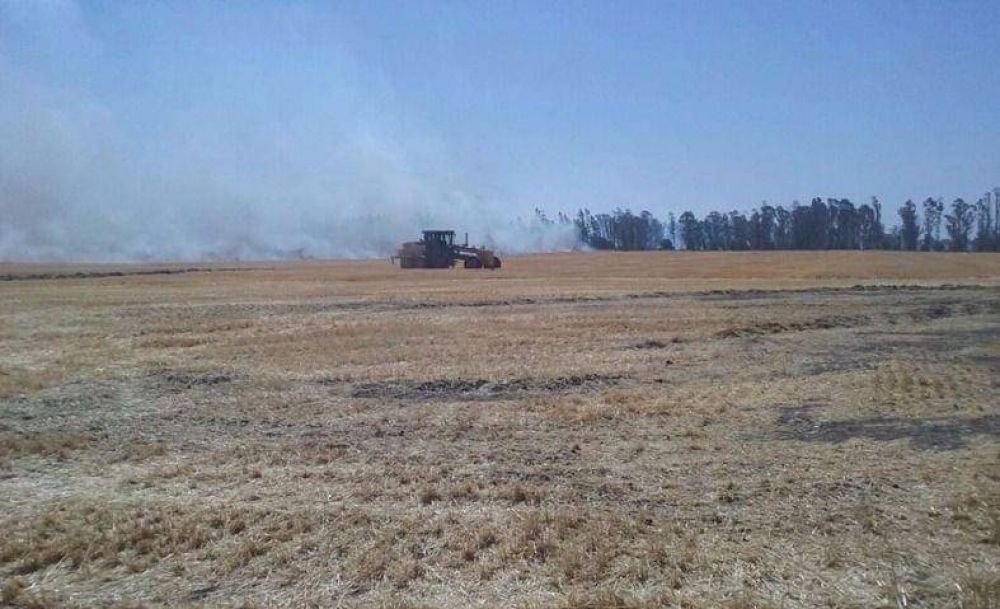 Elevar�n un pedido de emergencia y/o desastre agropecuario por la sequ�a