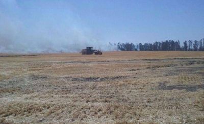 Elevar�n un pedido de emergencia y/o desastre agropecuario por la sequ�a