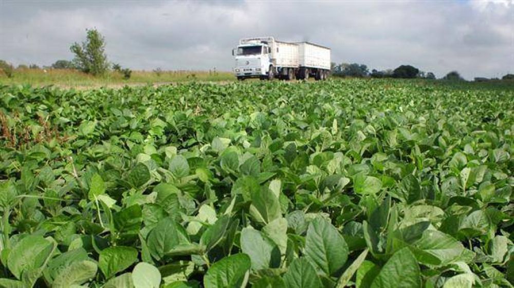 Extienden a 10 a�os el plazo para liquidar divisas por exportaciones