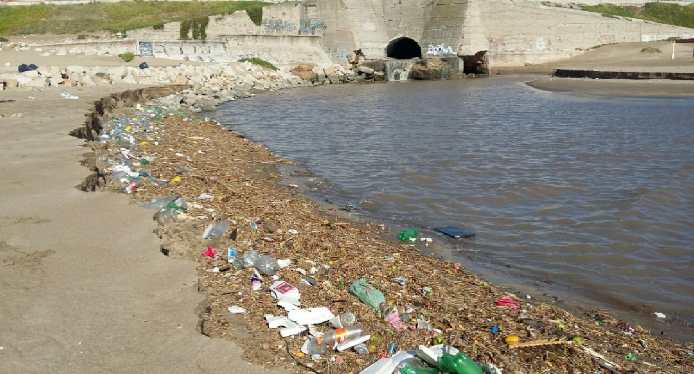 Realizaron tareas de limpieza en playas del Puerto y de Constitucin