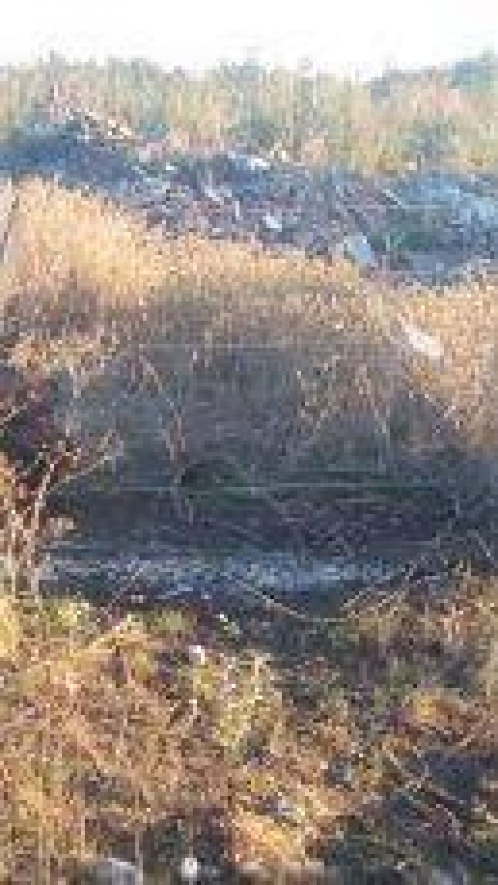 �Es evidente que nadie se preocupa por lo que pasa con la basura en Azul�